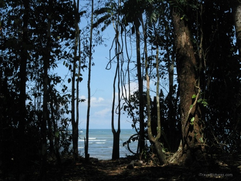Sirena path trail